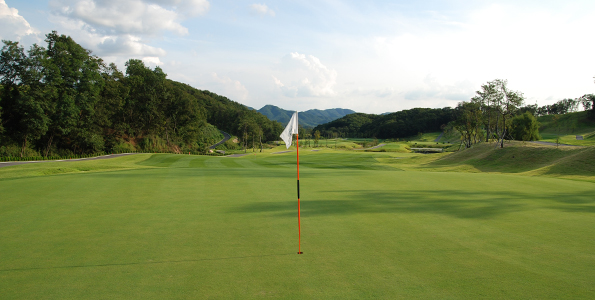 대한코스 4